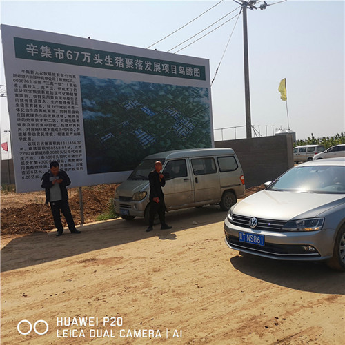 辛集市67万头生猪聚落采购好色先生污视频钢三柱好色先生TV版